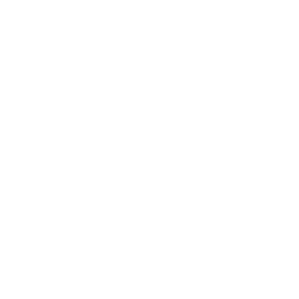 Home 17 Conservativa